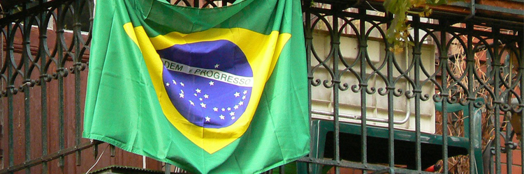 Brazil Flag - Brazilian Market