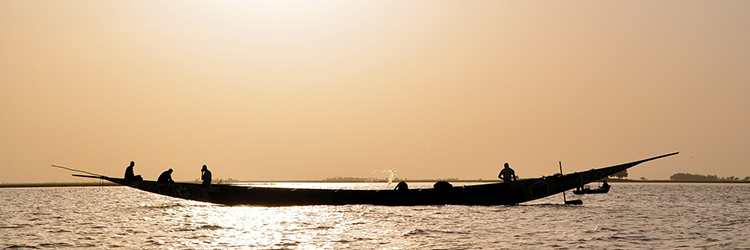 Niger River is a part of the Nigerian Market