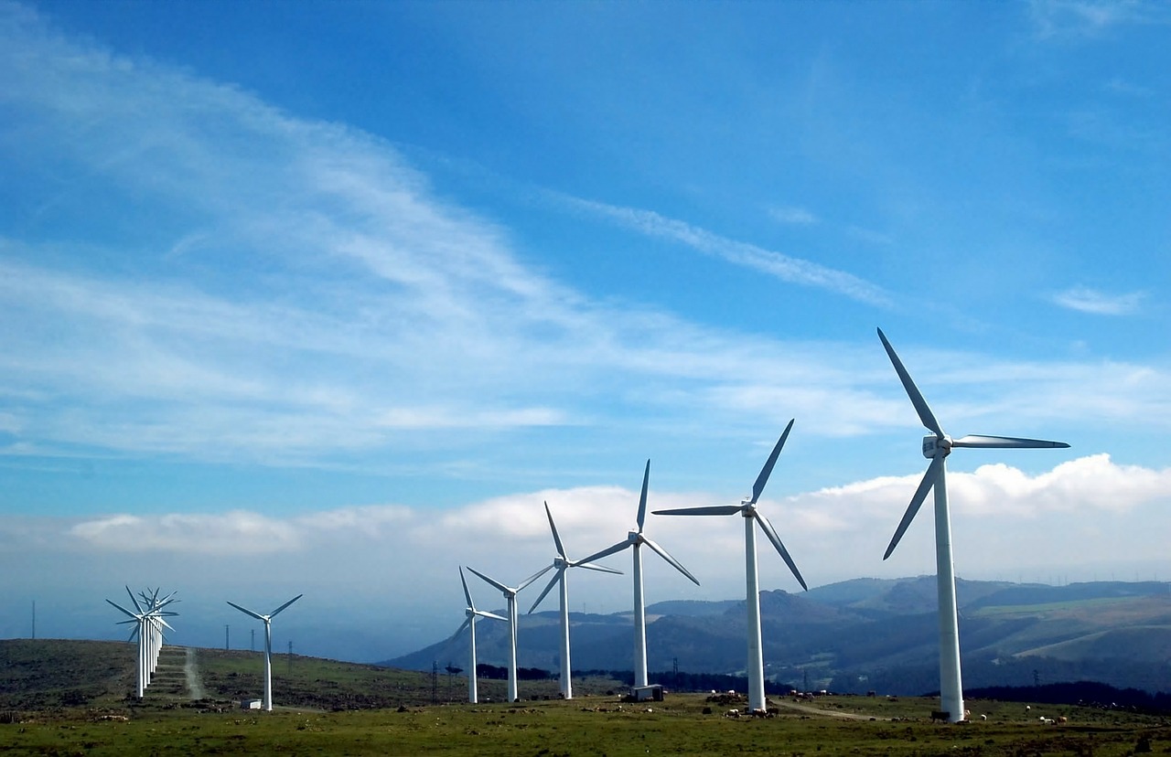 Renewable Energy - Wind Farm