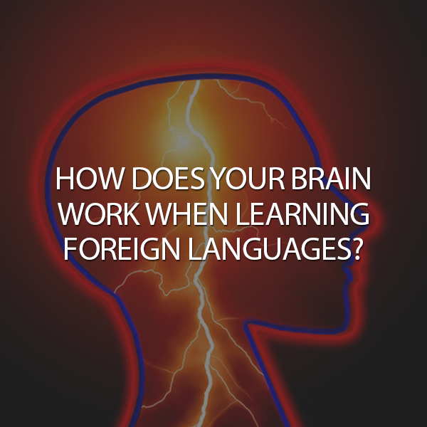 How does your brain work when learning foreign languages?