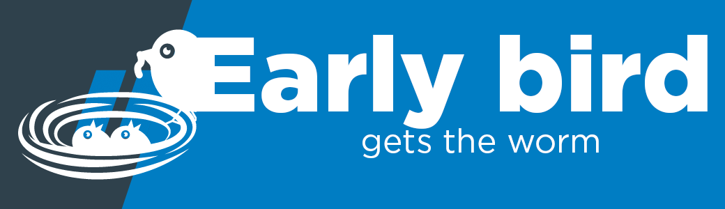 early bird with blue chevrons for website wolfestone translation blue chevrons